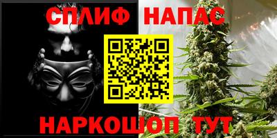 прущие грибы Белорецк