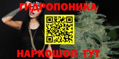 прущие грибы Белорецк