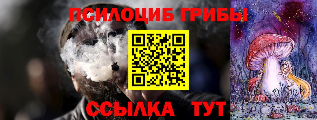 Галлюциногенные грибы Cubensis  Галлюциногенные грибы GOLDEN TEACHER  Аргун 